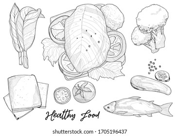 hand drawn vector healthy food. healthy sandwich illustration set with fish and vegetable.