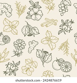 Hand drawn vector herbal tea seamless pattern