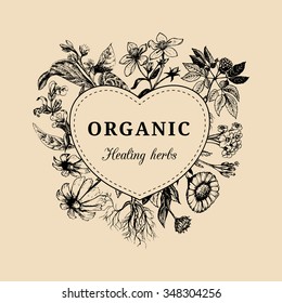 Hand drawn vector herbs. Organic healing plants background. Officinalis, medicinal, cosmetic leaves, seeds, flowers sketched illustration. Vintage floral card or poster.