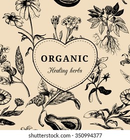 Hand drawn vector herbs. Organic healing plants background. Officinalis, medicinal, cosmetic leaves, seeds, flowers sketched illustration. Vintage floral card or poster.