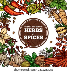 Hand drawn vector herbs and spices with circle label. Background frame with sketch color illustration of ginger, rosemary, mint, vanilla, cinnamon, chili pepper. Design template for healthy food