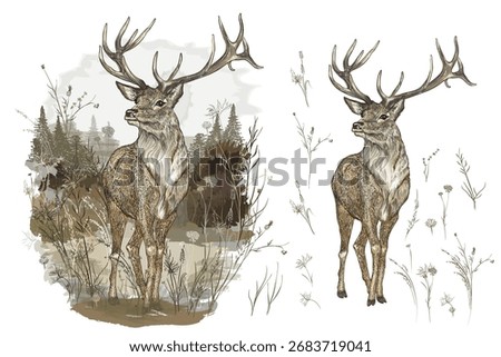Hand drawn vector high detailed deer set autumn scene, vintage watercolor style