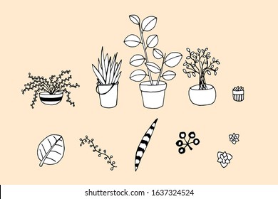 Hand drawn vector home plants cactus and succulents in pots. A variety of decorative outline cactus and leaves set.
