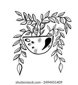 Hand drawn vector home potted plants illustration. Ink sketch.