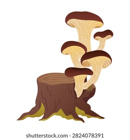 Hand drawn vector honey mushrooms growing on a tree stump with textured details. Woodland botanical illustration. Decorative woodland fungi for stickers and seasonal designs