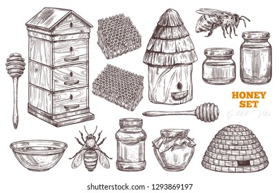 Conjunto de miel vector dibujado a mano. Colección de dibujos para apicultura, apicultura y empresa y negocio de carnes: abejas, colmenas de madera y paja, cuchara de miel, peine de miel, tarros y olla