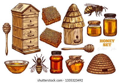 Hand drawn vector honey set. Collection of colorful sketch illustrations for beekeeping, apiculture and mead company and business: bees, wooden and straw hives, honey spoon, honeycomb, jars and pot