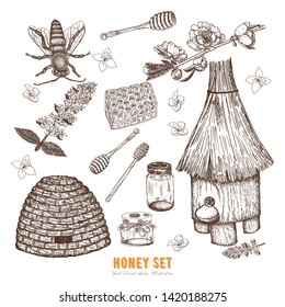 Hand drawn vector honey set. Collection of sketches for beekeeping and mead business: wooden and straw hives, bee, honey spoons, honeycomb, jars and honey plants.