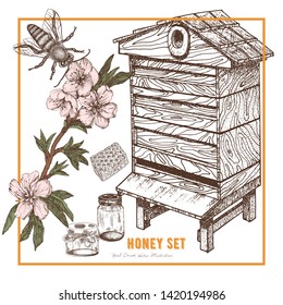 Hand drawn vector honey set. Collection of sketches for beekeeping and mead business: wooden hive, bee, honeycomb, jars and honey plant.