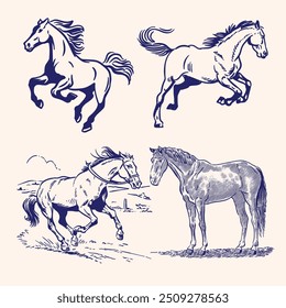 Conjunto de caballos de Vector dibujado a mano 