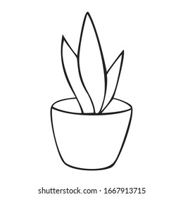 planta doméstica vectorial hecha a mano aislada en fondo blanco. Dibujo de aloe con tinta de perro. Gráfico lineal