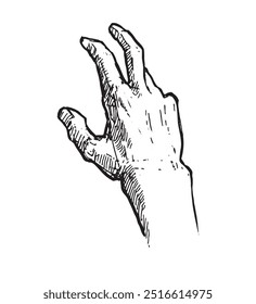 Hand drawn vector human hand in sketch style.