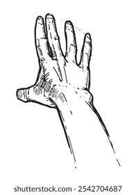 Hand drawn vector human hand in sketch style.