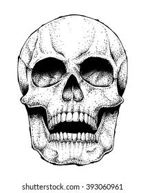 Hand drawn vector human skull isolated on white. Monochrome dead head illustration.