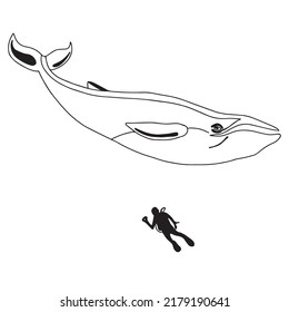 Hand Drawn Vector Humpback Whale Or Blue Whale With Silluate Diver Black Isolated On White Background. Sketch Illustration