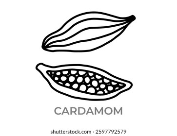 Hand drawn vector icon of cardamom, spice, editable, simple, black outline