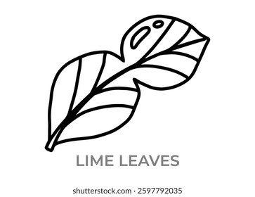 Hand drawn vector icon of lime leaf, spice, editable, simple, black outline
