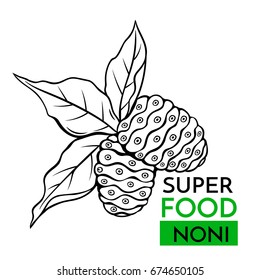Hand drawn vector icon superfood noni . Sketch Illustration in vintage style. Design Template Healthy food.
