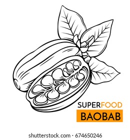 Hand drawn vector icon superfood baobab. Sketch Illustration in vintage style. Design Template Healthy food.