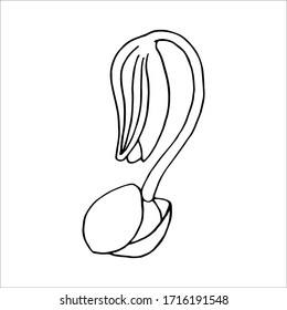 Hand drawn vector illustranion. 
The appearance of a sprout of seeds. Eps 8.