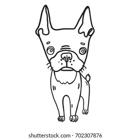 Hand drawn vector illustrated coloring page of cute Boston terrier dog. Cartoon black and white, outline puppy drawing for kids to color. Could be used as book picture, magazine, poster.