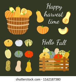 Hand drawn vector illustration of 12 pumpkins, wicker basket and wooden box with pumpkins. Flat style design. Concept for gardening, autumn harvest. Perfect for packaging design of healthy food.