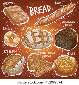 Hand drawn vector illustration of 8 popular Bread variations, including Ciabatta, Baguette, Bagel, Sourdough, Multi Grain, Rye, Whole Wheat and French Ball Bread.