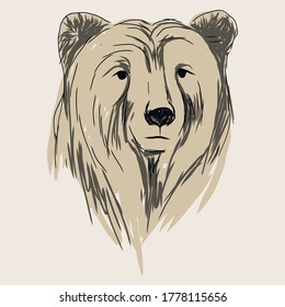  Hand drawn vector illustration about bear . Vector art.