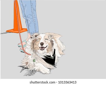 Hand drawn vector illustration. Adorable, fluffy collie/shephard mix dog smiles and laughs while sitting at her owner's feet.