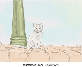 Hand drawn vector illustration. Adorable stray kitten sitting and posing on a stone wall with a street lamp behind. 