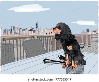 Hand drawn vector illustration. Adorable dog sitting on a table on a rooftop, with the Chicago skyline in the distance. Colorful background. Cavalier King Charles Spaniel.