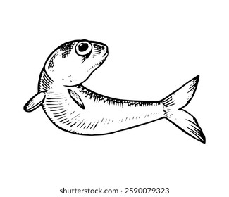 Hand drawn vector illustration of anchovy fish in black and white. Isolated sketch with vintage engraving details, perfect for seafood and marine life designs. With a silhouette on the background
