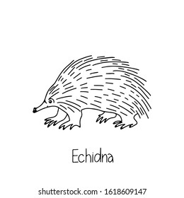 Hand drawn vector illustration animal of Australia echidna, lettering isolated on white background. Wild life and fauna. Best for  books, cards, posters, sites, stickers, magazines, print, banner.