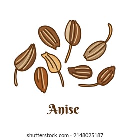 Hand drawn vector illustration of anise isolated on white background.