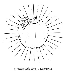 Hand drawn vector illustration with apple and divergent rays. Used for poster, banner, web, t-shirt print, bag print, badges, flyer, logo design and more. 