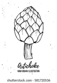 Hand drawn vector illustration - Artichoke. Fresh organic vegetable. Design element in sketch style. Perfect for brochures, flyers, posters, cards, prints