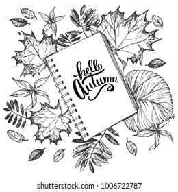 Hand drawn vector illustration with autumn leaves and notebook and an inscription hello autumn