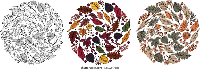 Ilustración vectorial dibujada a mano. La corona de otoño y los marcos. Hojas de otoño. Perfecto para invitaciones de boda, tarjetas de felicitación, blogs, impresiones y más