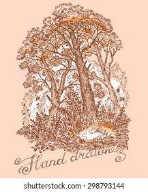 Hand drawn vector illustration with autumn wood, pines, bushes, grass and hare.