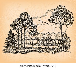 Ilustração vetorial desenhada à mão com a paisagem de outono e as aves partindo para o sul.