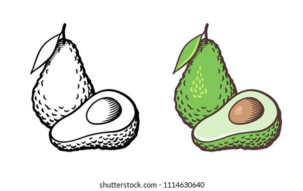 Hand drawn vector illustration avocado  Whole fruit and leaf  cross section   kernel  Outline   colored version