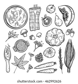 Hand drawn vector illustration. Background with autumn elements ( carrot, pumpkin, rowan, mushroom, corn, acorn, apple, fork). Perfect for invitations, greeting cards, quotes, posters etc.