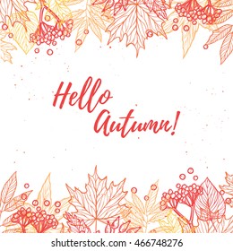 Hand drawn vector illustration. Background with Fall leaves and berries. Forest design elements. Hello Autumn!