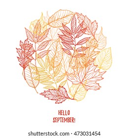 Hand drawn vector illustration. Background with Fall leaves. Autumn design elements. Hello September!