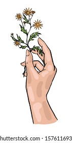 Hand drawn vector illustration. Beautiful hand holds a flower. Plant in the hand. Delicate color drawing isolated on white. Vintage graphics sketches. Decorative element for design, prints, poster etc