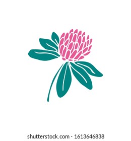 Hand drawn vector illustration of a beautiful clover flower isolated on white background. Decorative wildflower. Great for design of homeopathy products. 