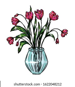 Hand drawn vector illustration. Beautiful bouquet of tulips in a vase. Vintage graphic sketches. Gentle greeting card еlement. Colored drawing isolated on white. For design typography, print, banner.