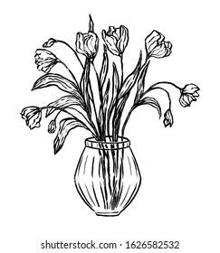 Hand drawn vector illustration. Beautiful bouquet of tulips in a vase. Vintage graphic sketches. Gentle greeting card еlement. Outline drawing isolated on white. For design typography, print, banner.