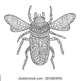 Hand drawn vector illustration of beetle on white background. Coloring page for children and adult. One of a series of painted pictures.