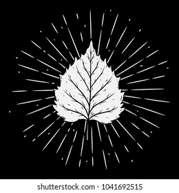 Hand drawn vector illustration with birch leaves and divergent rays. Used for poster, banner, web, t-shirt print, bag print, badges, flyer, logo design and more. 